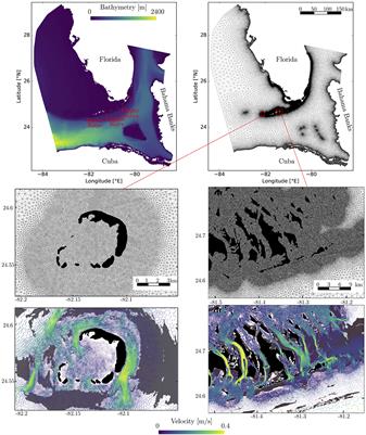 Fine-Scale Coral Connectivity Pathways in the Florida Reef Tract: Implications for Conservation and Restoration